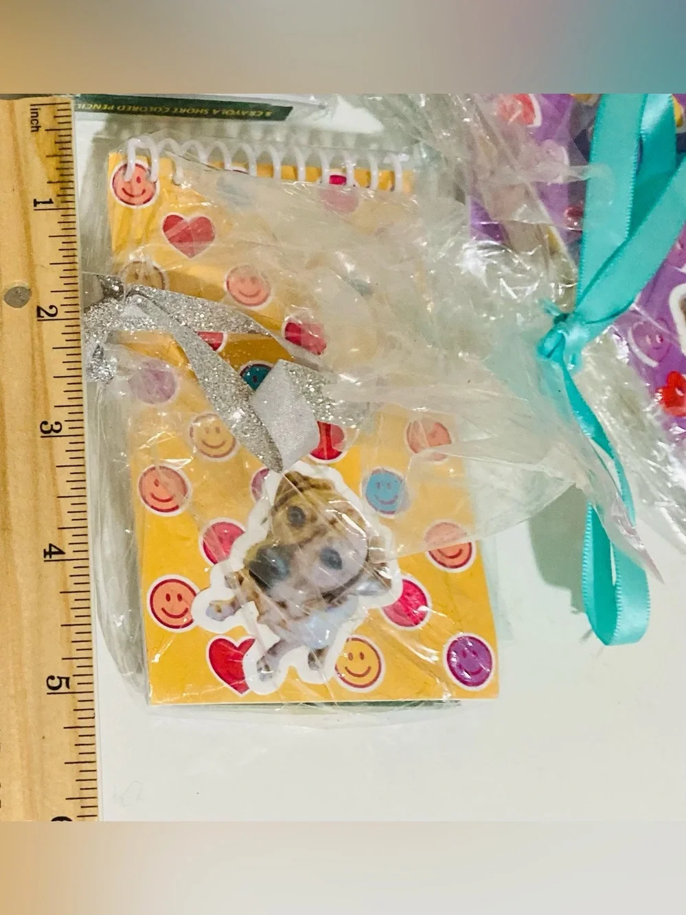 12 Party Bags: Multicolor 3” x 5” Mini Notebooks & Crayola 8pk Colored Pencils